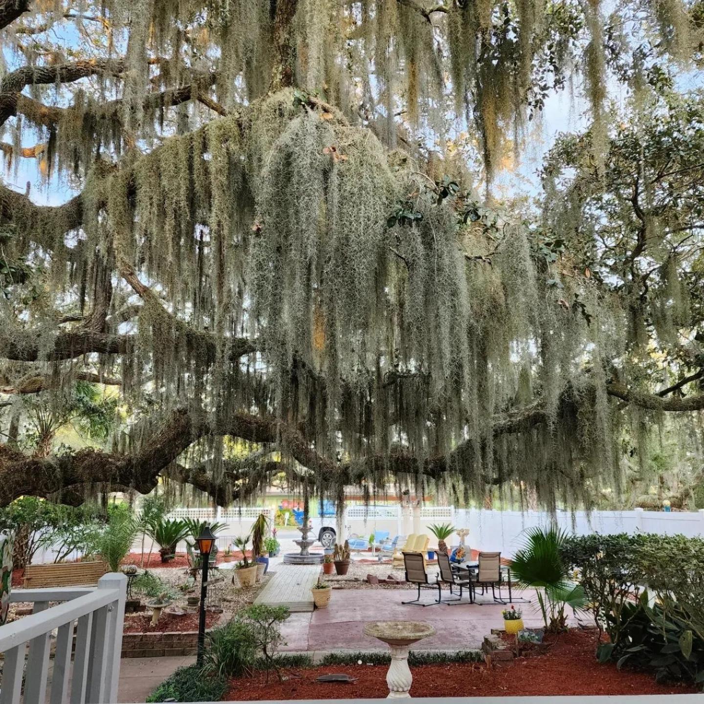 Tybee Island Inn Bed & Breakfast Екстер'єр фото